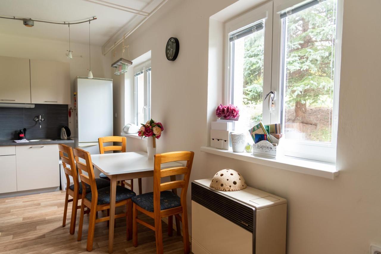 Apartman Fraise Leilighet Decin Eksteriør bilde